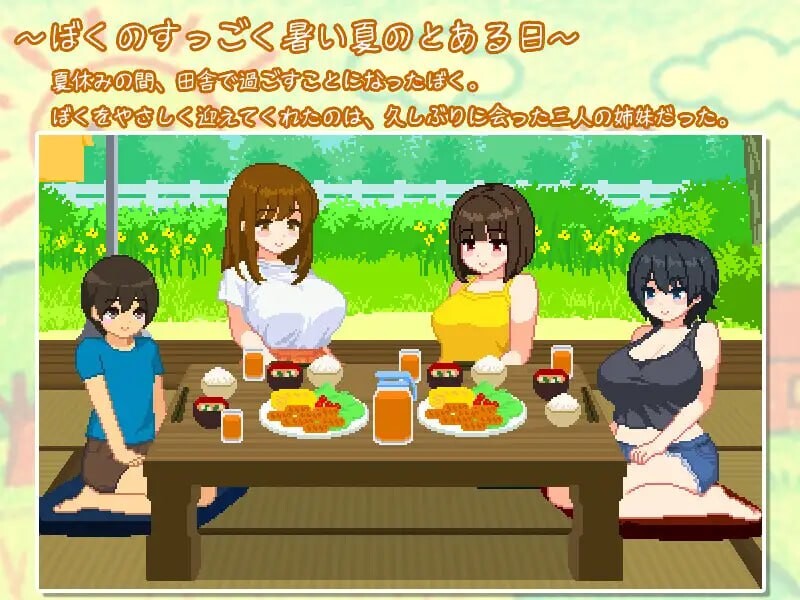 a3306与夏日姐姐们的甜蜜时光  v1.0.2 Steam官中步兵版 【PC/350M/新作】-ACG酷游乐园