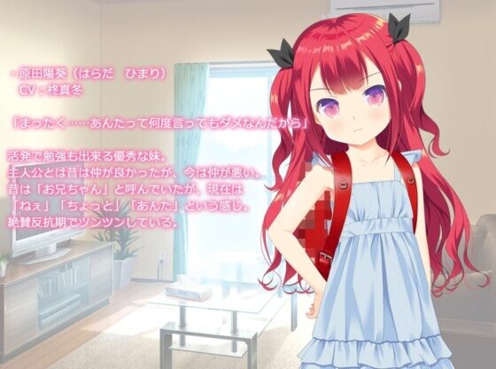 图片[3]-a3259让傲慢妹妹闭嘴的唯一绝妙方法 AI汉化 【PC/550M/新作】-ACG酷游乐园