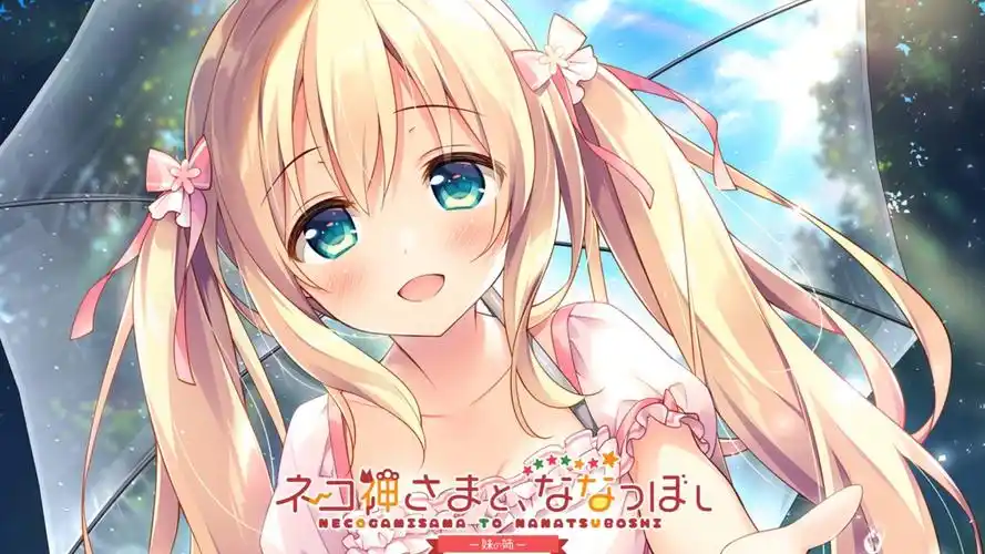 x12013 猫神大人与七颗星星  精翻汉化 【PC＋安卓模拟器/2.3G/更新】-ACG酷游乐园